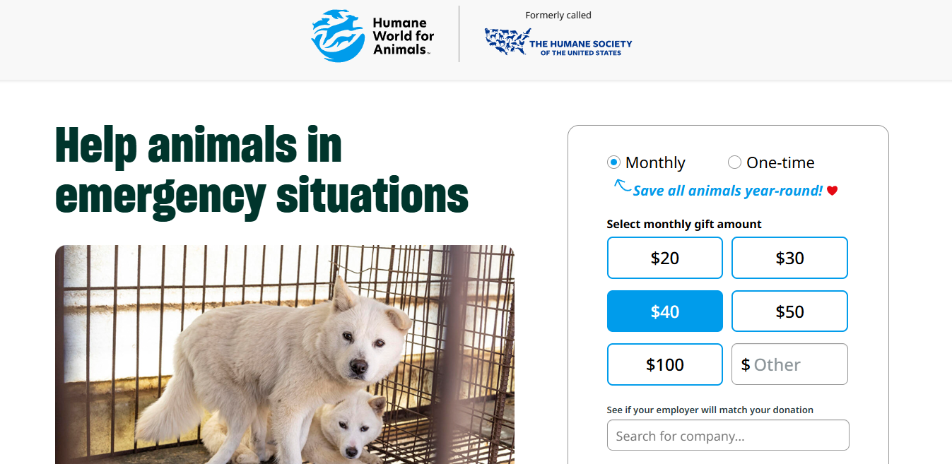 Grow corporate fundraising revenue with a matching gift-enabled donation form.